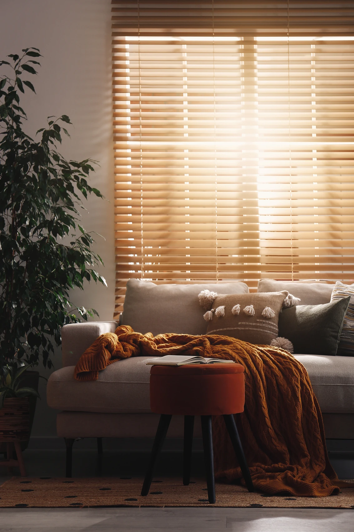Basswood wood blinds inspiration image