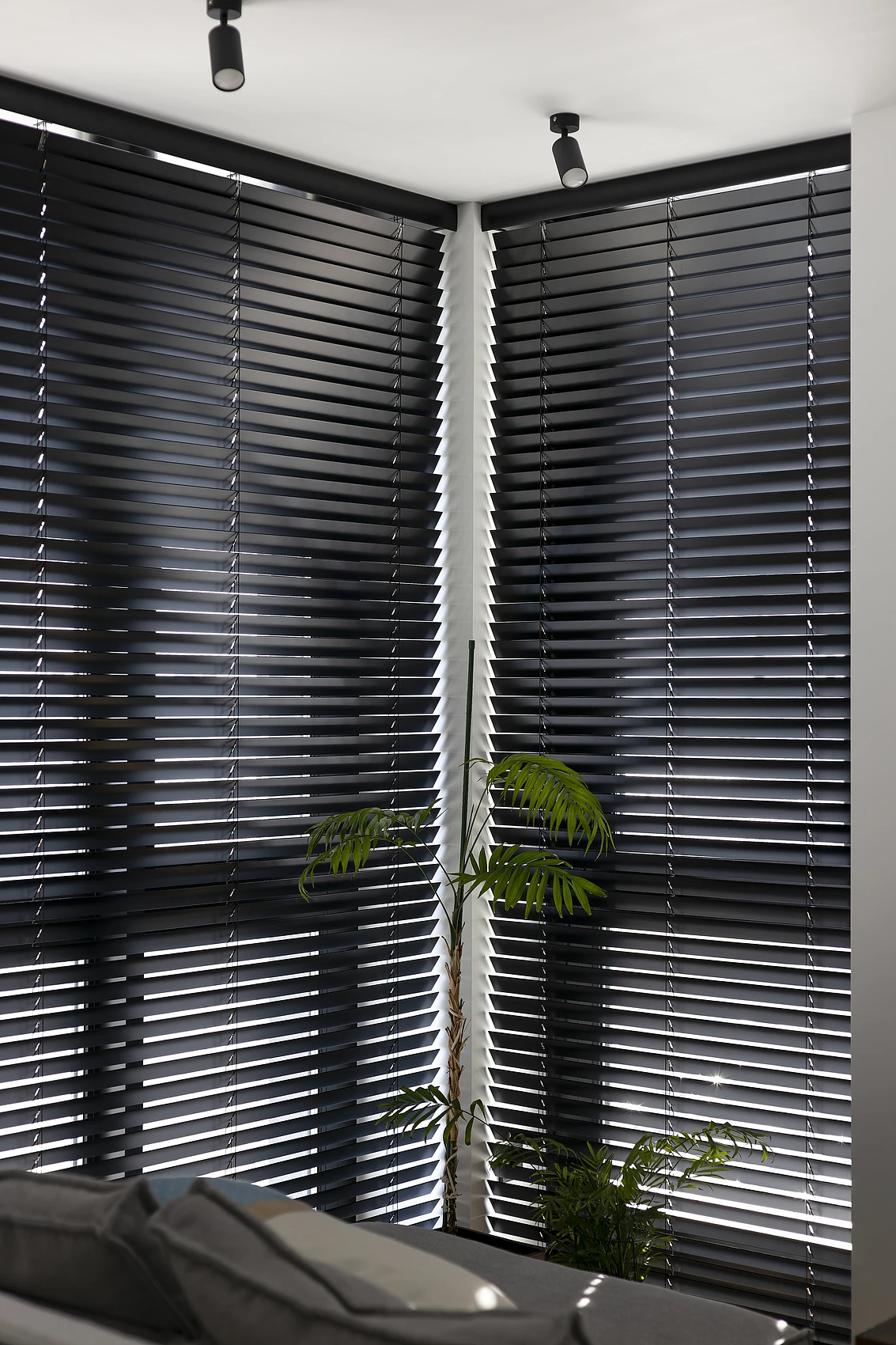 Basswood wood blinds inspiration image